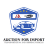 Auction For Import Logo